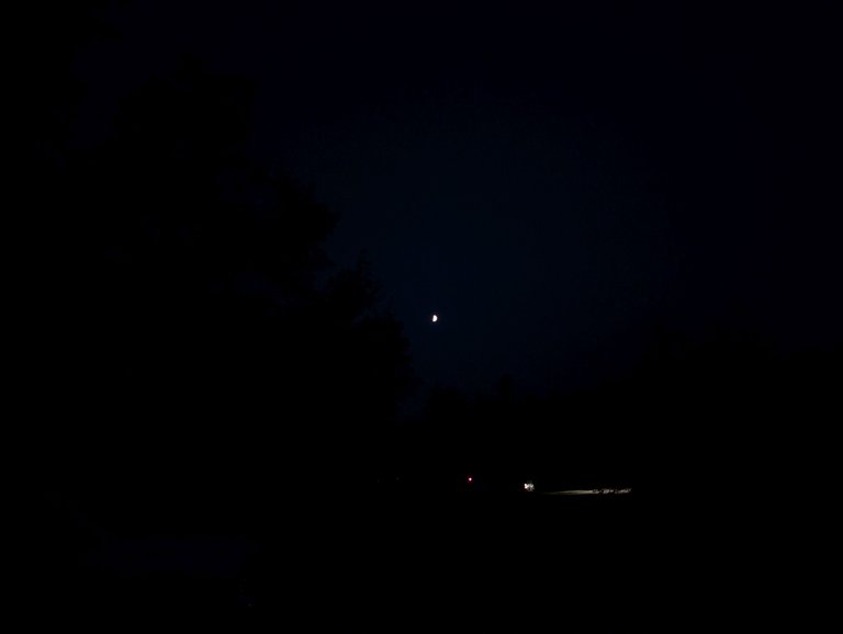 PXL_20250802_020331454.jpg
