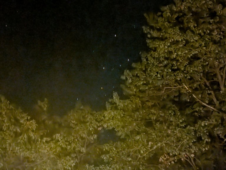 PXL_20250921_013620896.NIGHT.jpg