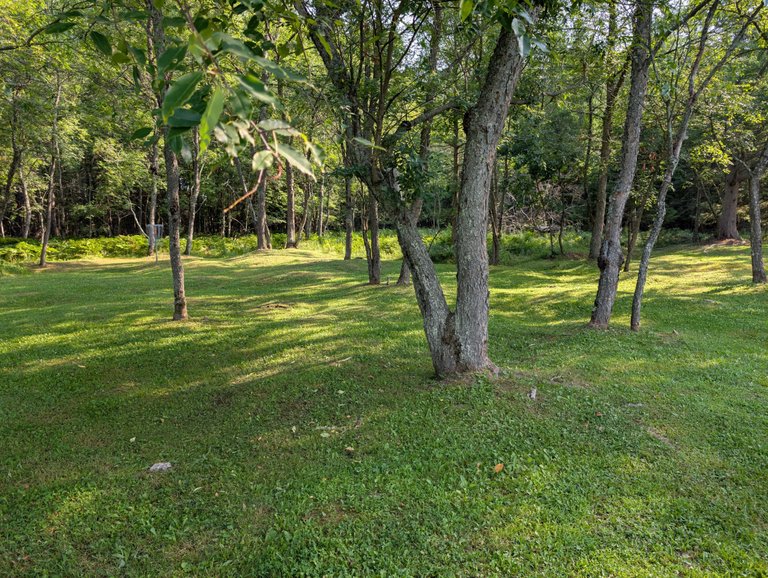 PXL_20250801_134500334.jpg