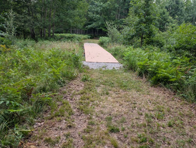 PXL_20250726_124205988.jpg