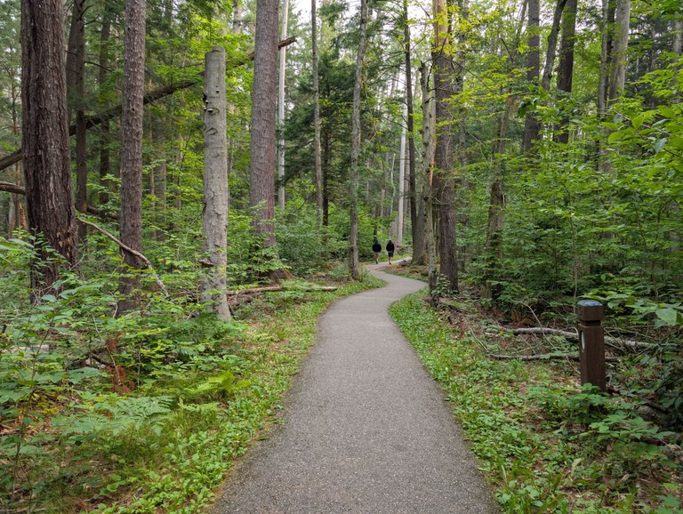 PXL_20250802_134523563.jpg