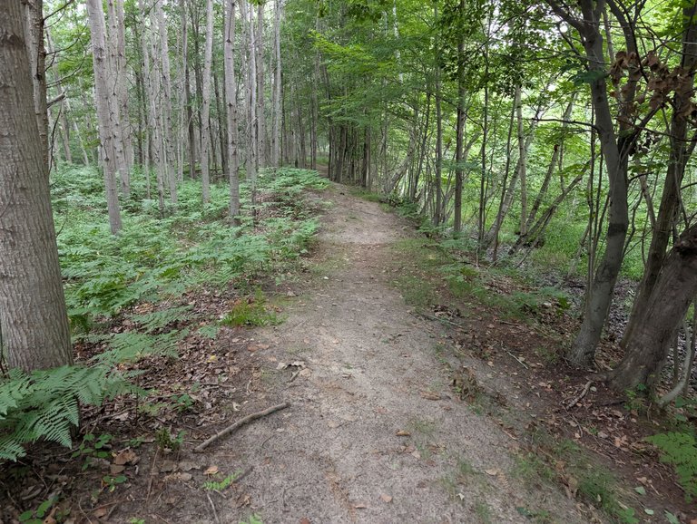 PXL_20250726_123330196.jpg