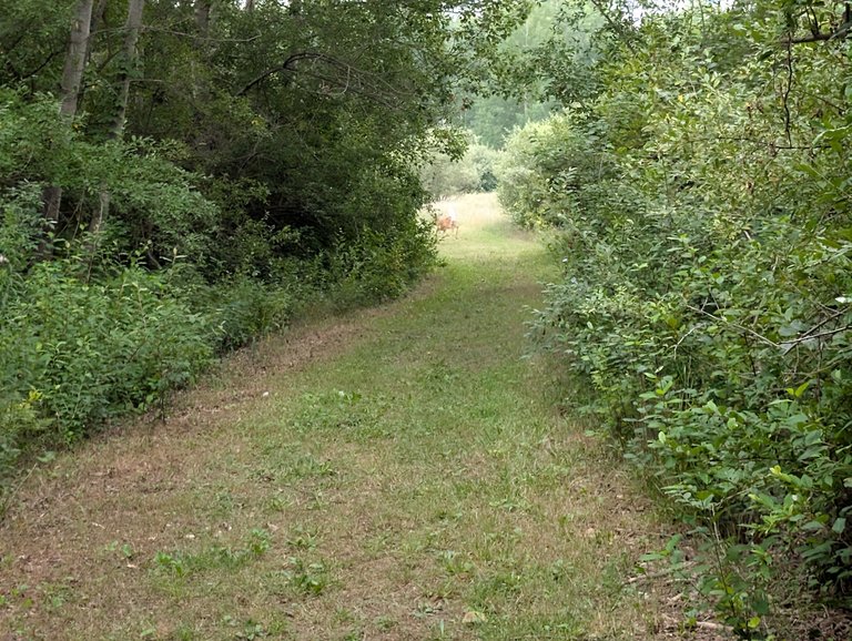 PXL_20250726_124918620.jpg