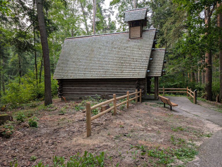 Old Growth Forest: Hartwick Pines State Park