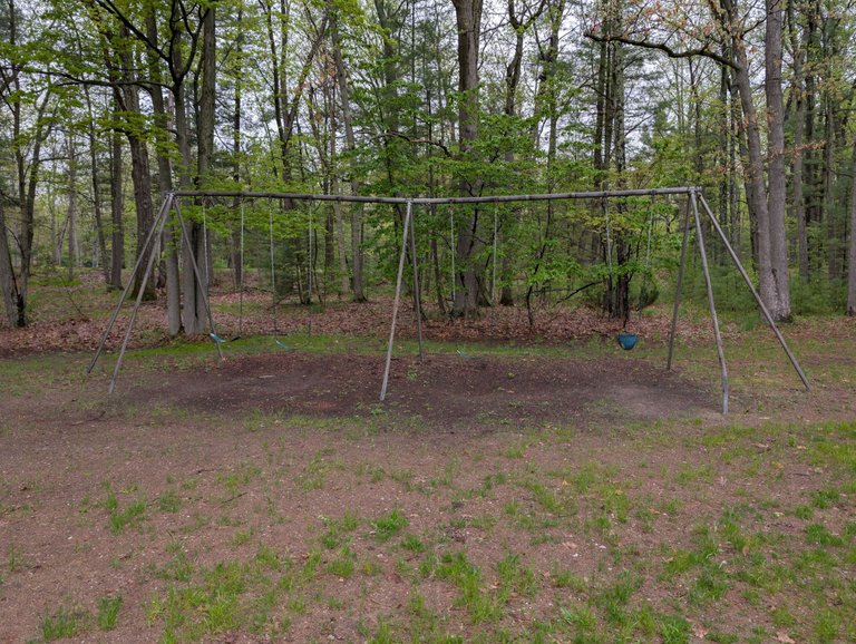 PXL_20250517_135656497.jpg