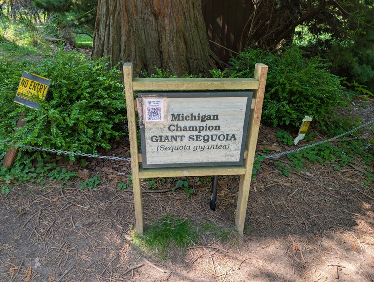 PXL_20250628_151621131.jpg