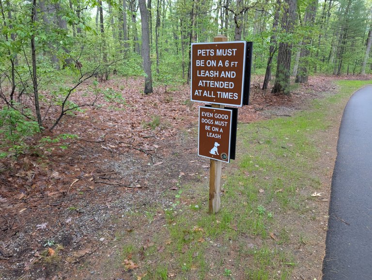 PXL_20250517_135721850.jpg