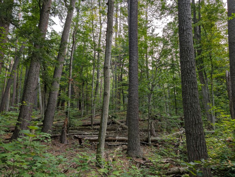 PXL_20250802_132319559.jpg