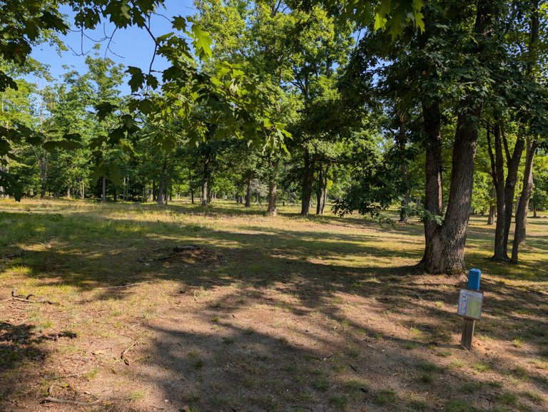 PXL_20250801_142225664.jpg