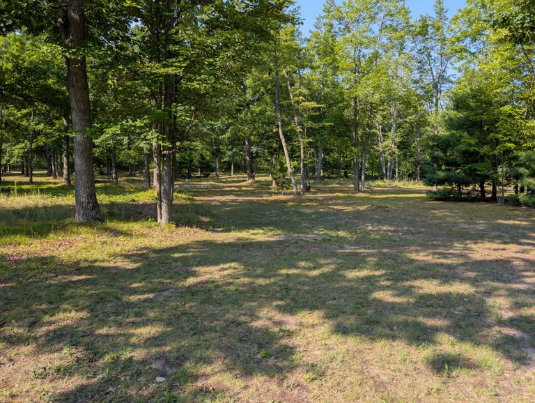 PXL_20250801_140235374.jpg