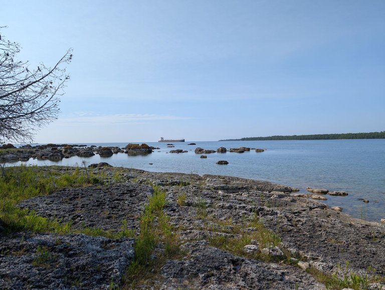 PXL_20250711_135524256.jpg