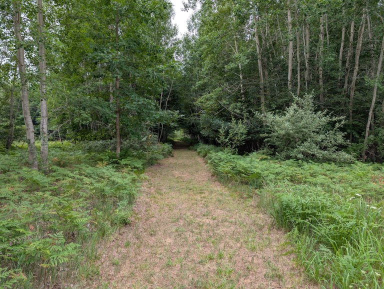 PXL_20250726_123835738.jpg