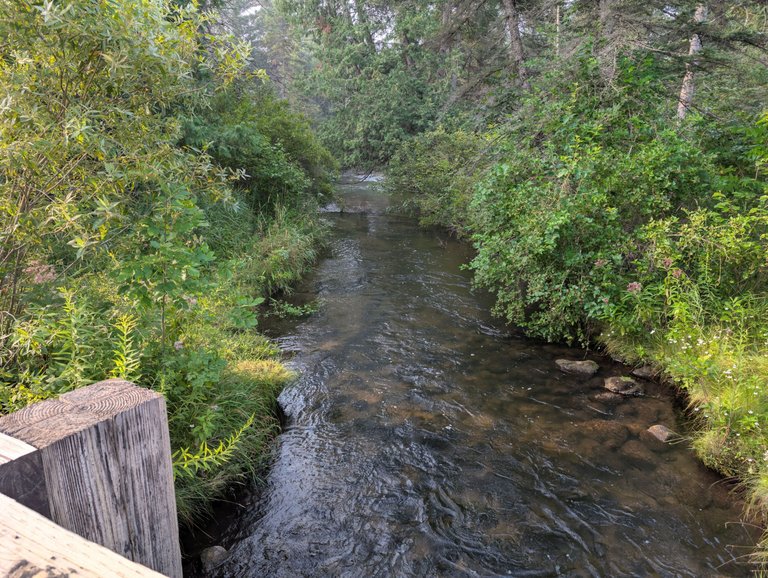 PXL_20250815_123440302.jpg