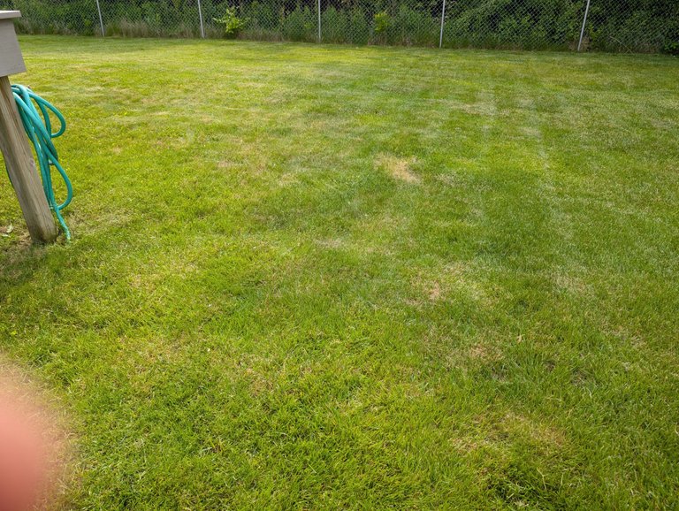 PXL_20250607_203826247.jpg