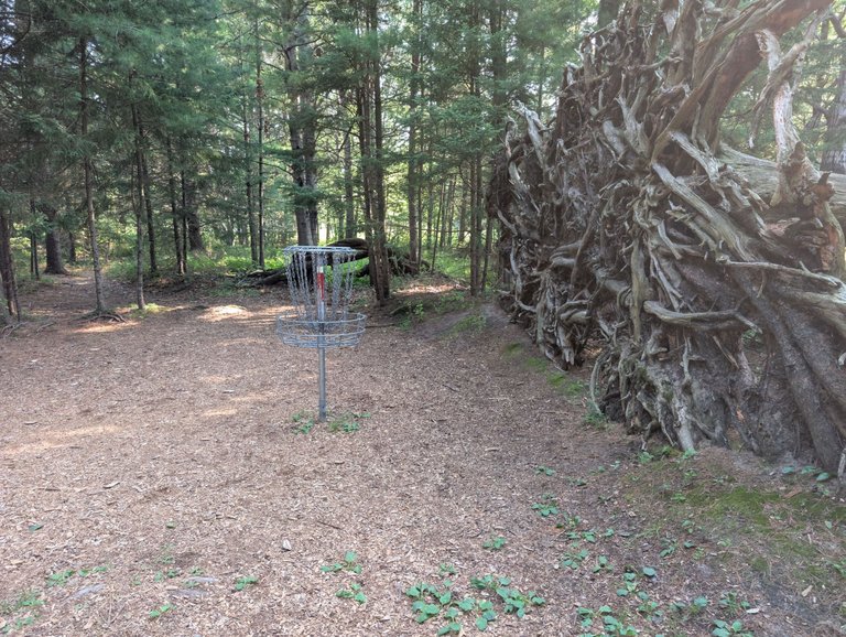 PXL_20250801_133643225.jpg