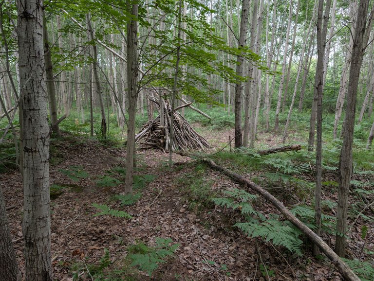 PXL_20250726_123358865.jpg