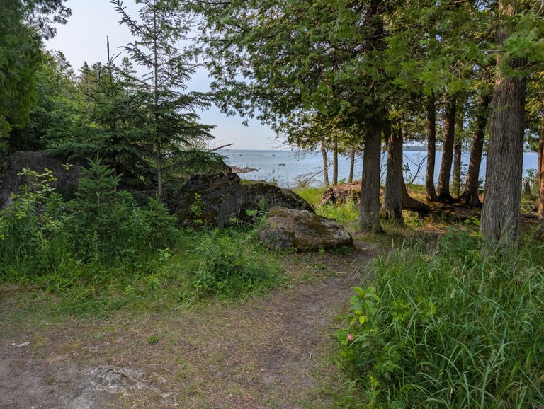 Bush Bay Trail AKA: The Narnia Trail