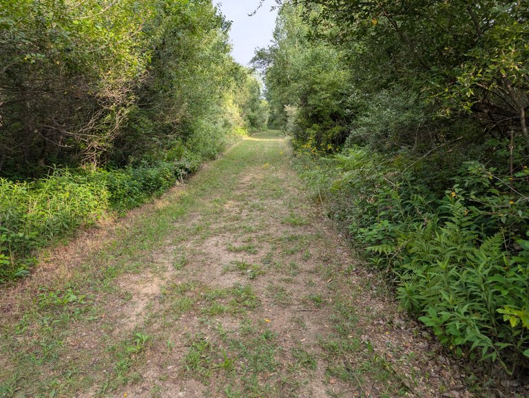 From Toxic Waste to Greenspace