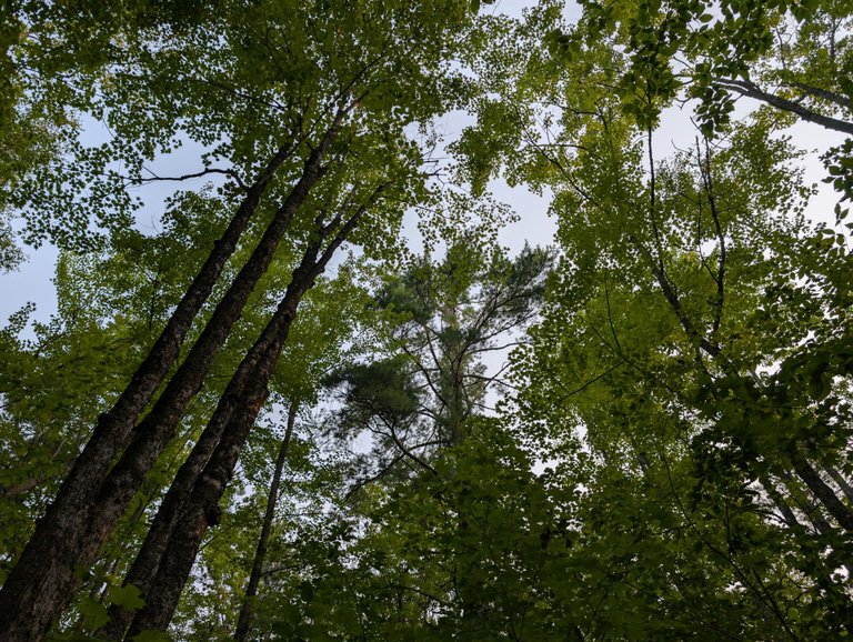 PXL_20250802_132757902.jpg