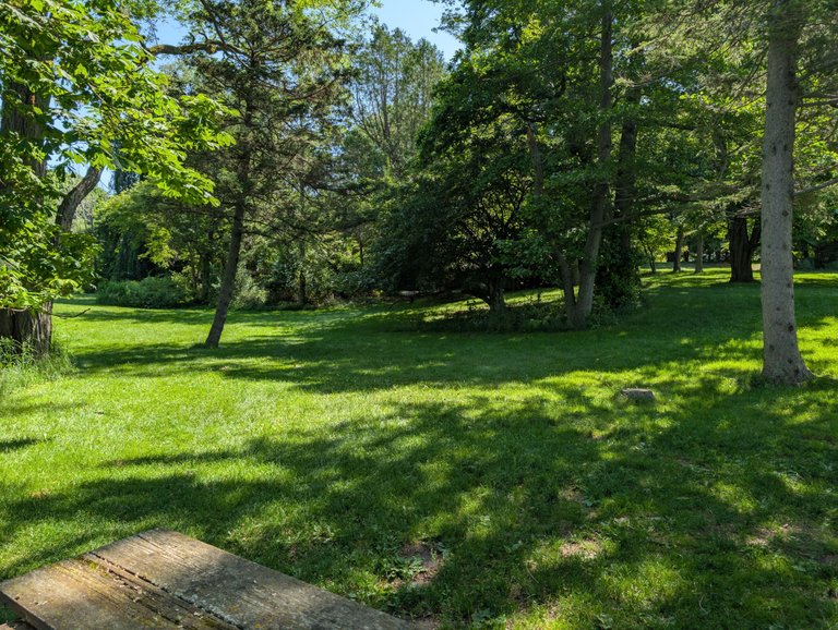 PXL_20250628_151941771.jpg