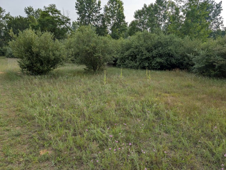 PXL_20250726_122503918.jpg