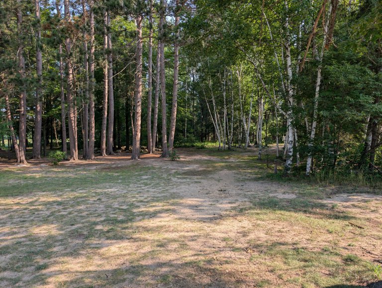 PXL_20250801_132858205.jpg
