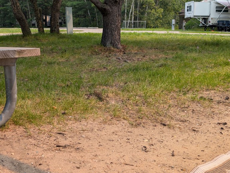 PXL_20250802_161729336.jpg