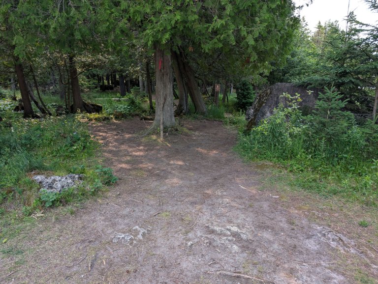 PXL_20250711_133112965.jpg
