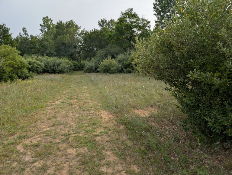 PXL_20250726_122510764.jpg