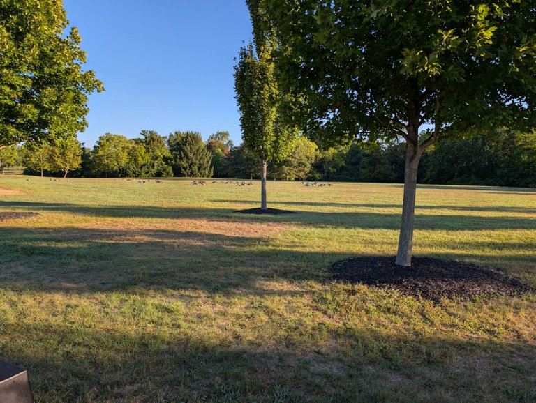 PXL_20250830_120934272.jpg