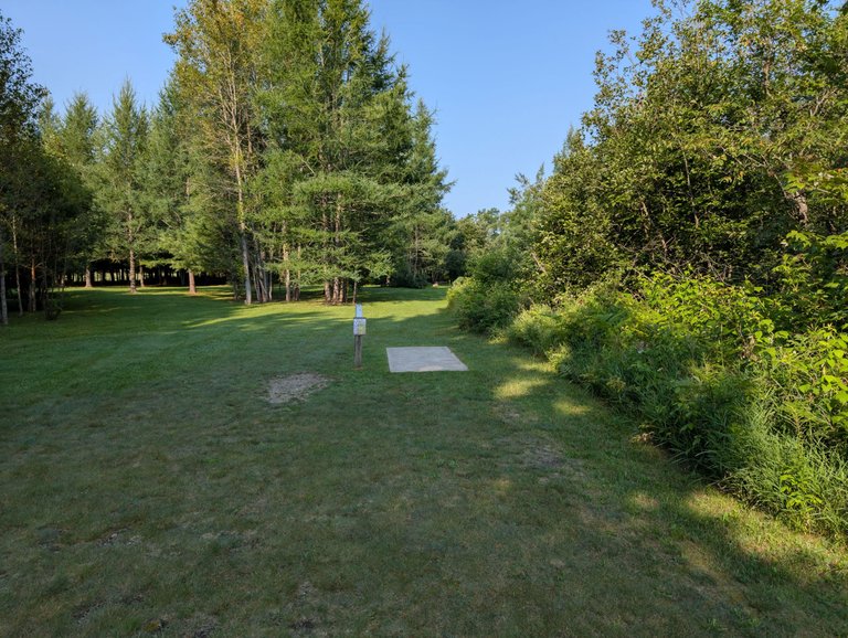 PXL_20250801_133853781.jpg