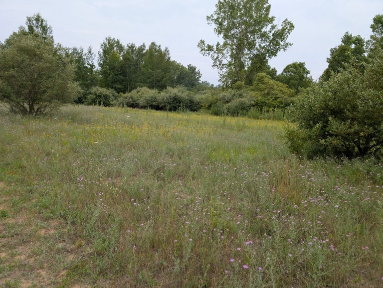 PXL_20250726_125022579.jpg