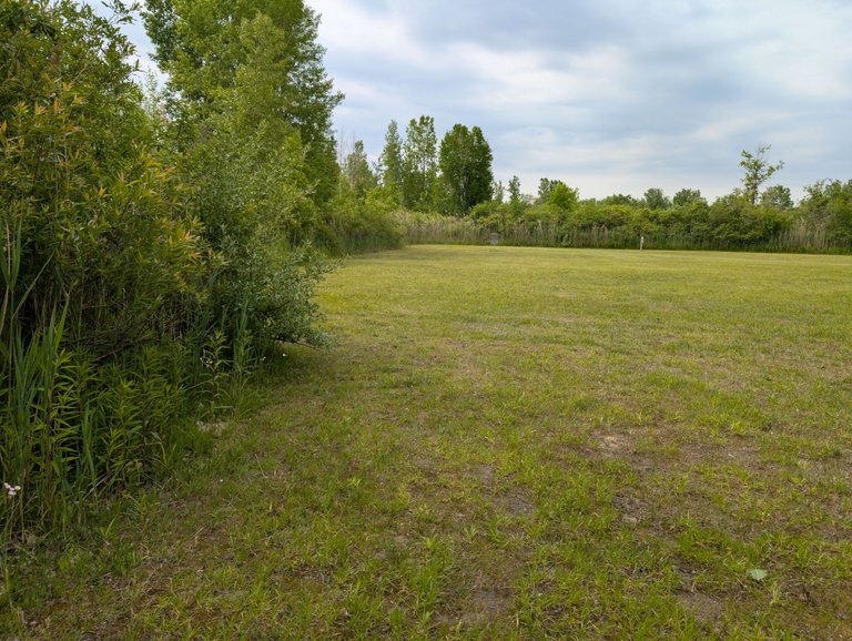 PXL_20250613_145456782.jpg