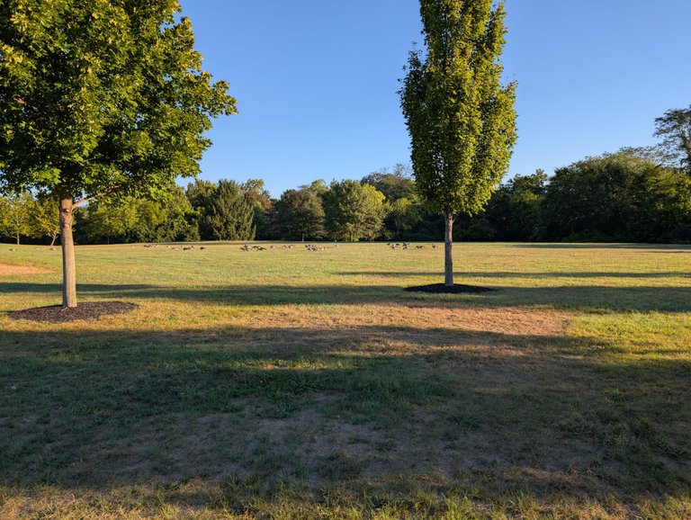 PXL_20250830_120937323.jpg