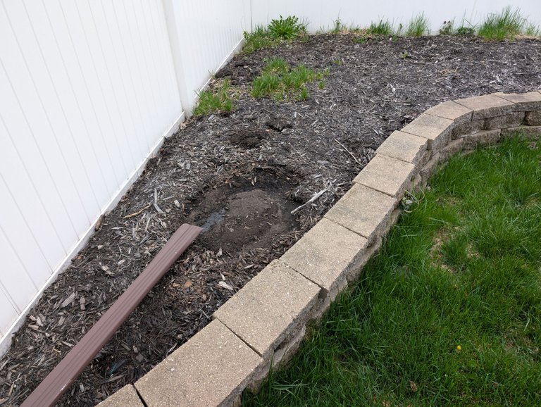 PXL_20250503_131431847.jpg