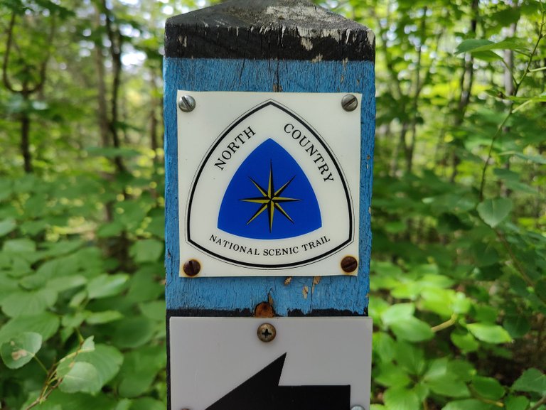 IMG20220729160140.jpg