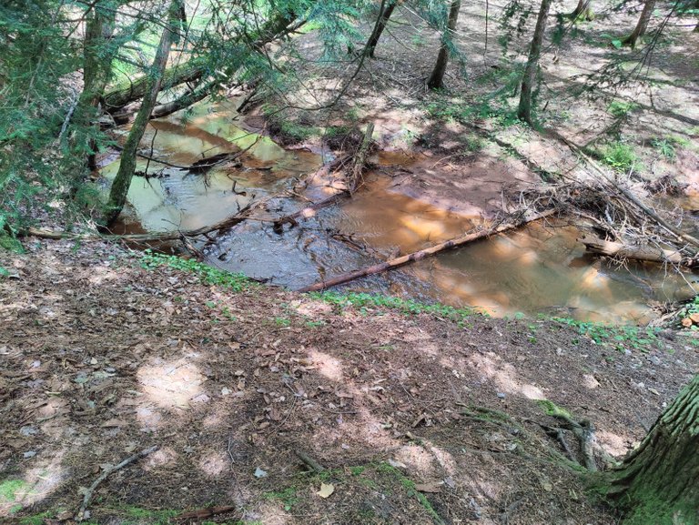 IMG20220729144734.jpg
