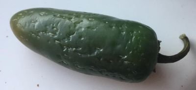 green.jpg