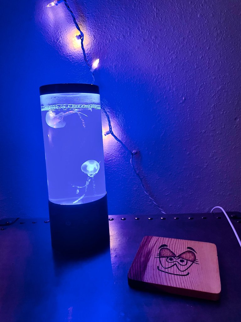 jellyfish lamp.jpg