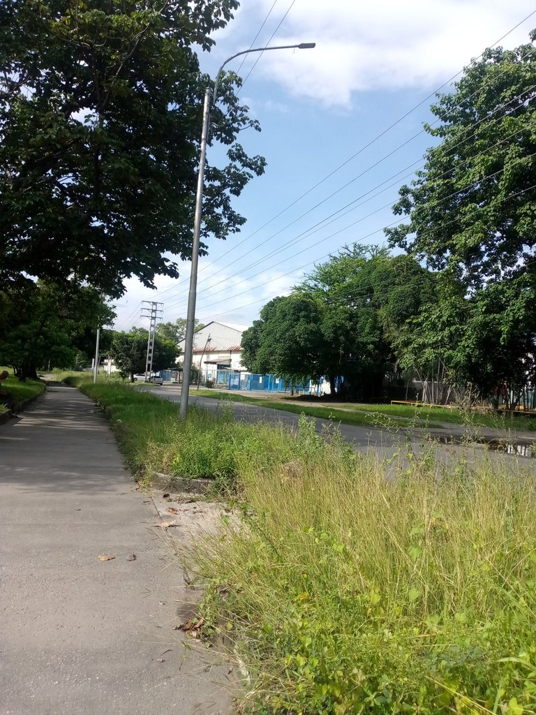 IMG_20250723_162740_492.jpg