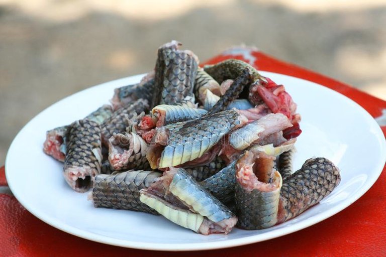 close-up-slice-snake-meat-dish-indochinese-rat-snake-prepared-cooking-slice-snake-meat-dish-indochinese-rat-snake-134268218.jpg