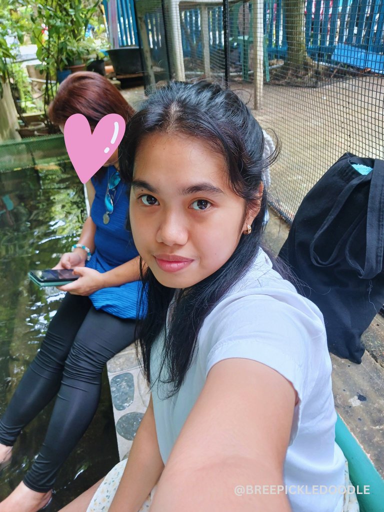 pond1.png