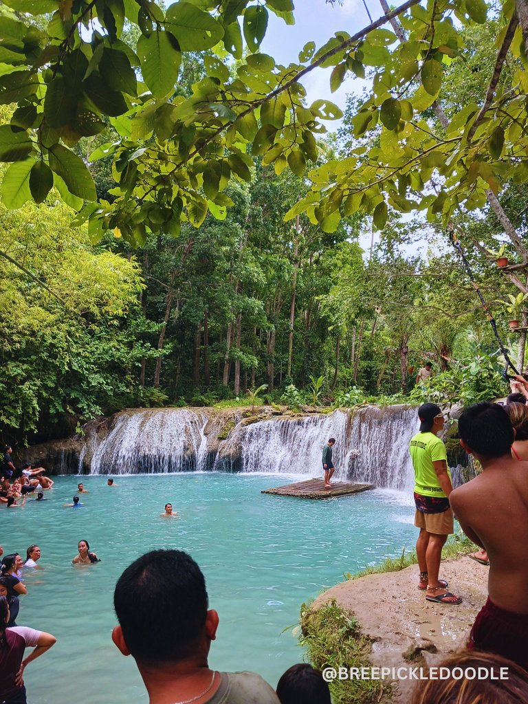 falls1.png