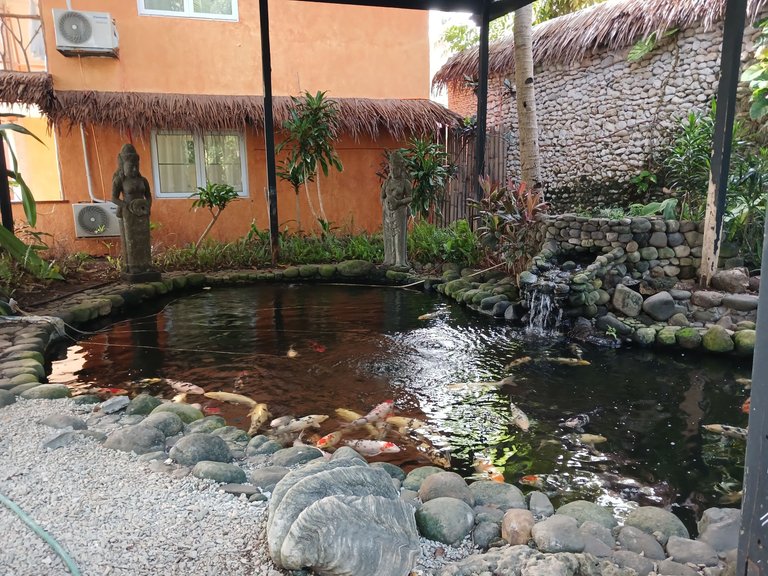 KOI POND.jpg