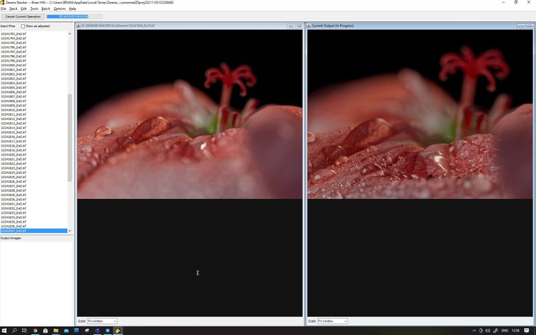 Screenshot 2021-11-30 123653.jpg