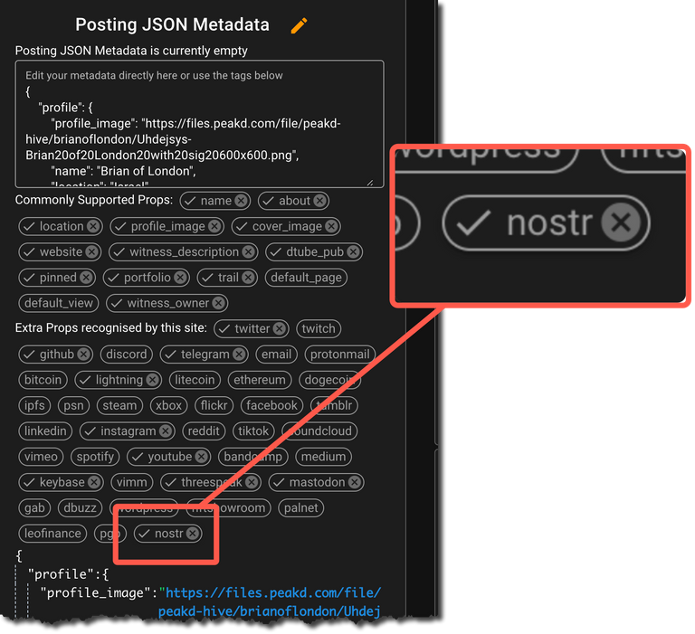 Just find the Nostr button below the edit box and paste your PUBLIC key in there.