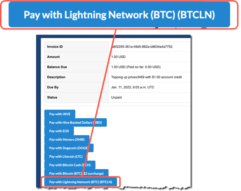 Pay with Lightning Network (BTC)
