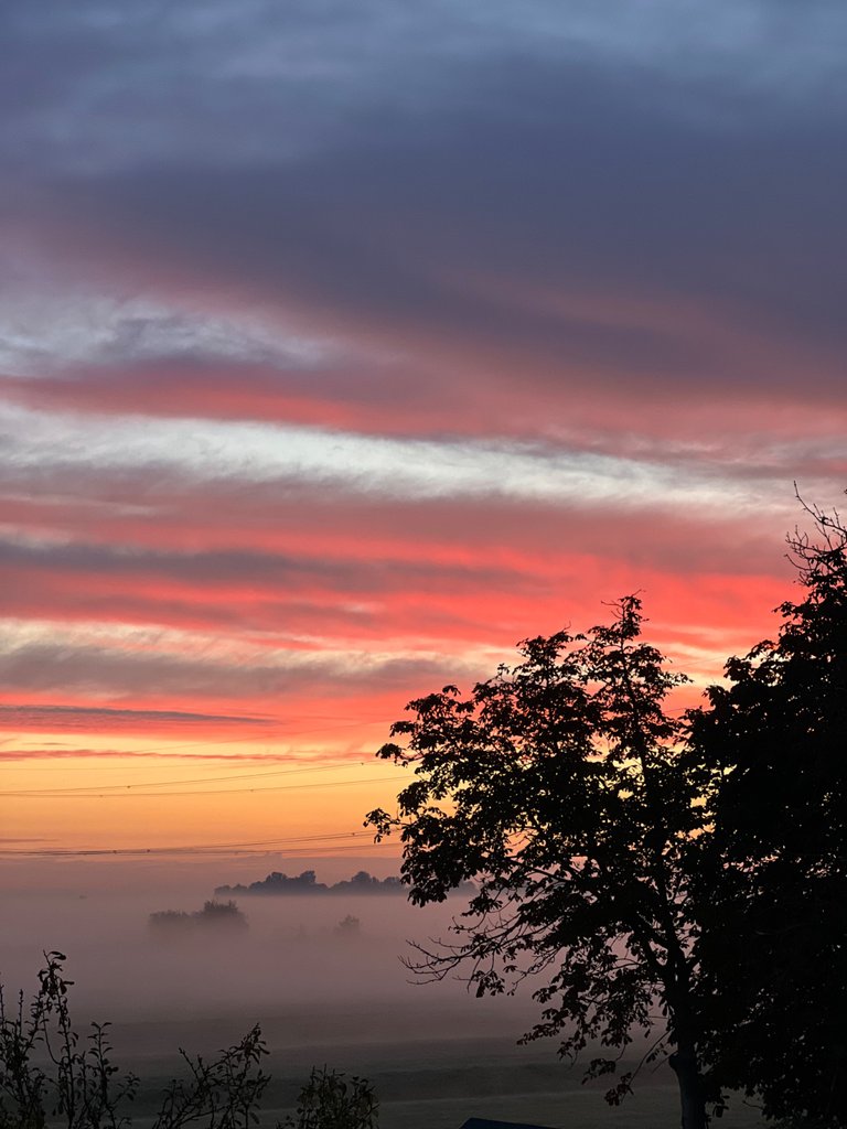 856F2C5E-D6C4-479A-8398-C48C4E88428E.jpeg