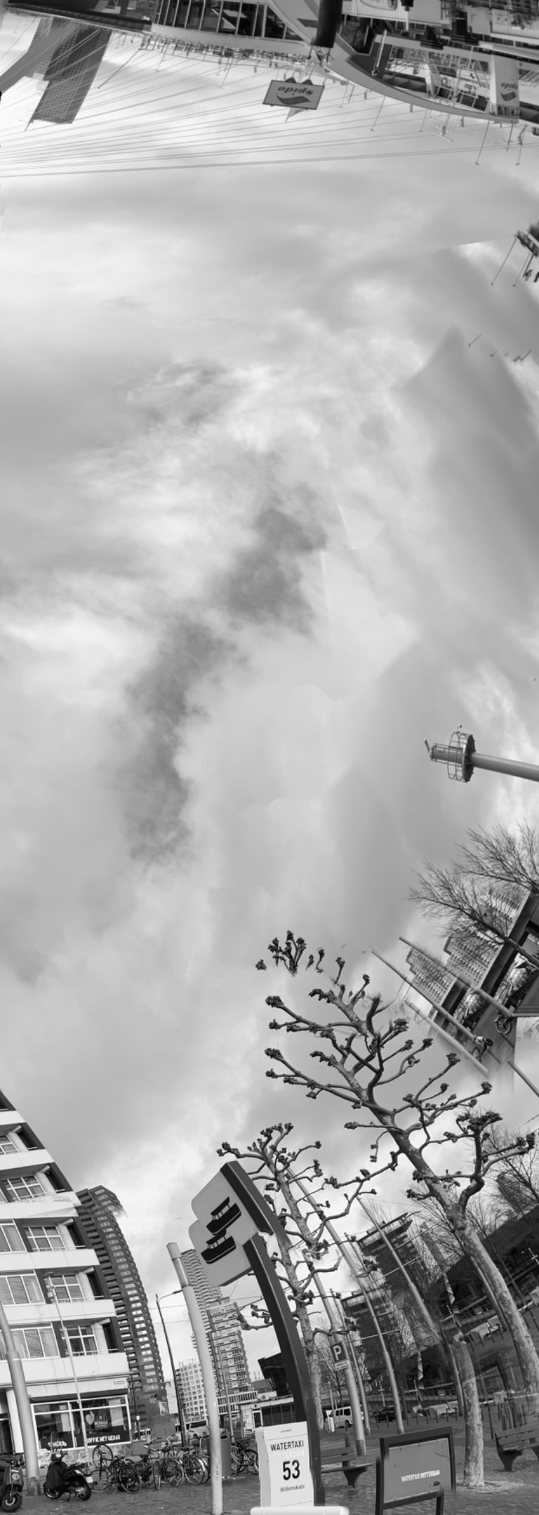 7CB44565-E354-4DE1-A412-05BE65B2438E.jpeg