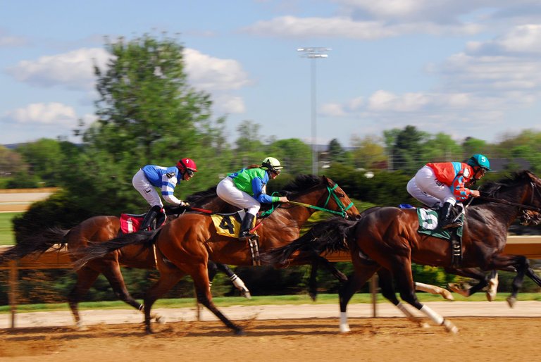 horse-racing-ge900152d6_1920.jpg